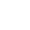 No Soy Ingredients